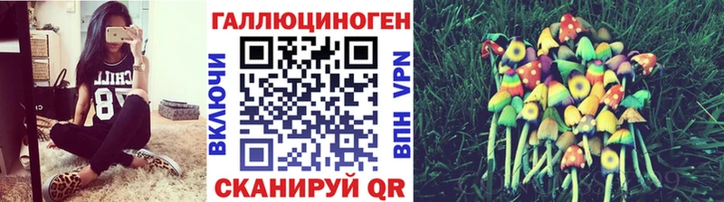 это состав Красновишерск Галлюциногенные грибы Psilocybine cubensis